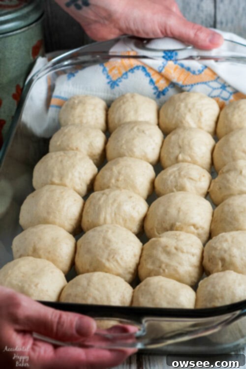 Shaped oatmeal rolls are neatly arranged in a greased 13x9 inch baking pan, covered and ready for their second rise before baking.