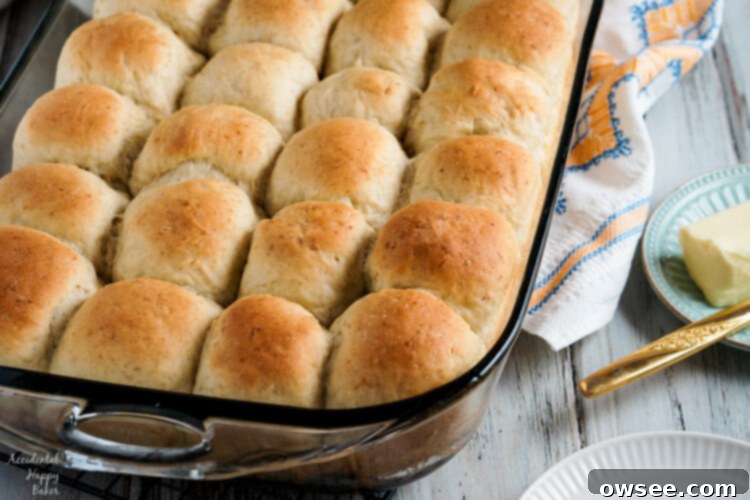 A pan filled with beautifully baked, golden brown oatmeal rolls, fresh from the oven and glistening, ready to be served.