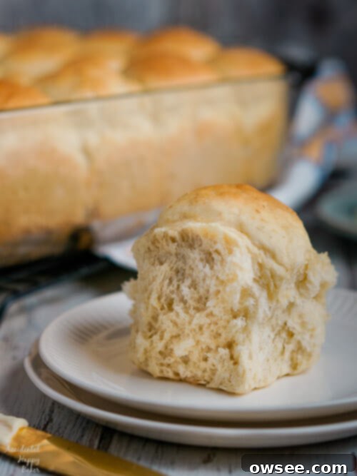 Soft Oatmeal Dinner Rolls 7 Oatmeal Dinner Rolls