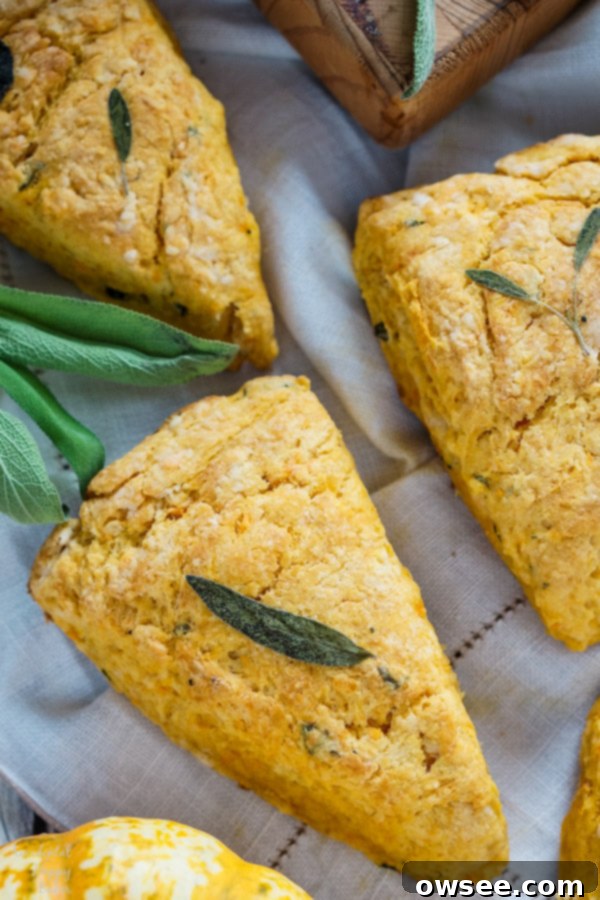 Sweet Potato and Sage Scones