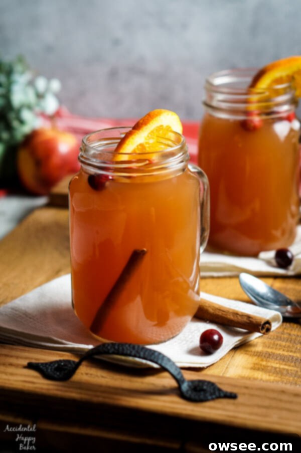 Spiced Holiday Wassail 7 Old Fashioned Wassail in a mug, garnished with an orange slice and cinnamon stick