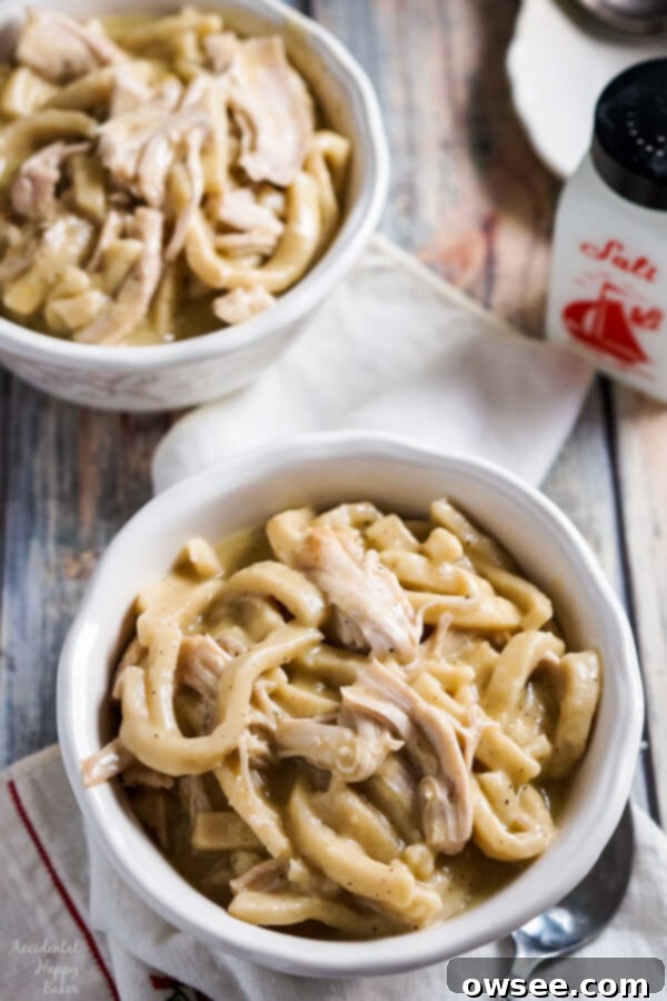 Easy Instant Pot Turkey and Noodles 5 A serving of creamy Instant Pot turkey and noodles in a white bowl, ready to eat.