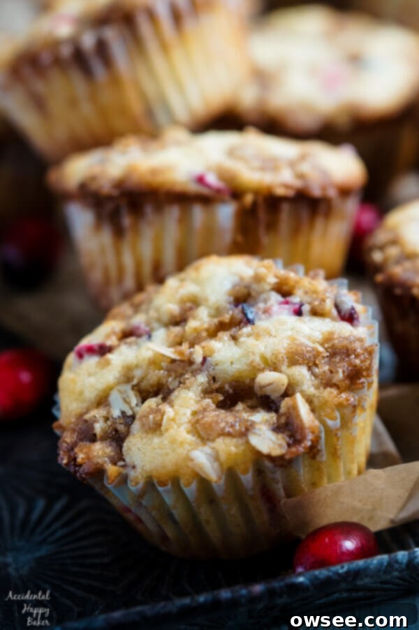 Cranberry Crumb Muffins with oat topping