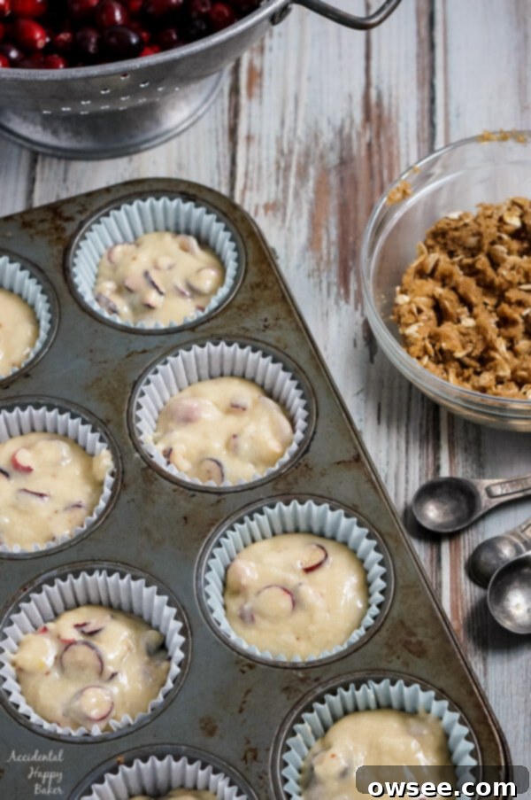 Close-up of cranberry crumb muffins batter in liners