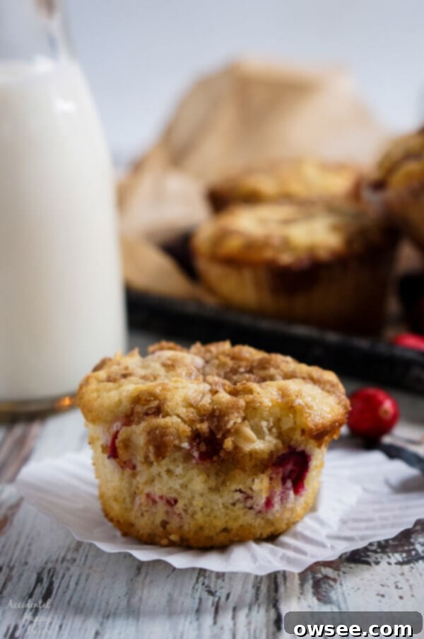 Baked Cranberry Crumb Muffins with oat topping