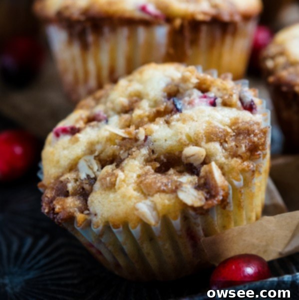 Tart Cranberry Streusel Muffins 7 Cranberry Crumb Muffins recipe card image