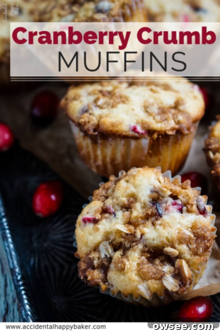 Cranberry Crumb Muffins with festive tag