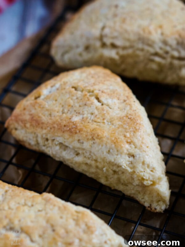 Freshly baked Eggnog Scones on a baking sheet, brushed with eggnog and sugar