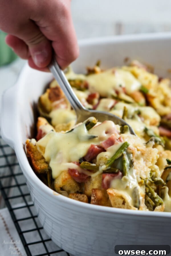 A freshly baked Ham and Asparagus Strata, golden brown and bubbly, ready to be served. A delicious and elegant breakfast casserole.