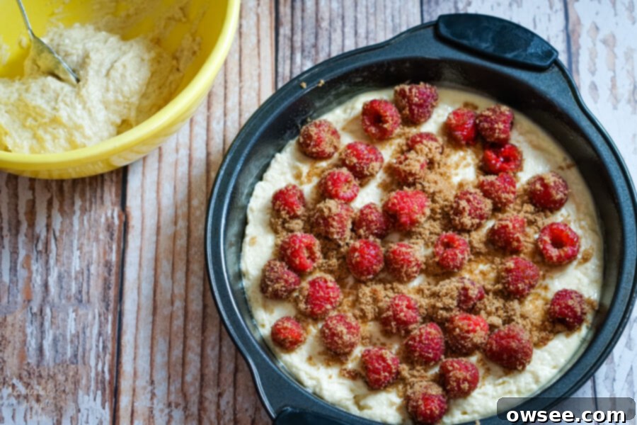 Perfect Raspberry Coffee Cake 4 Raspberries and brown sugar are sprinkled over the cake batter.
