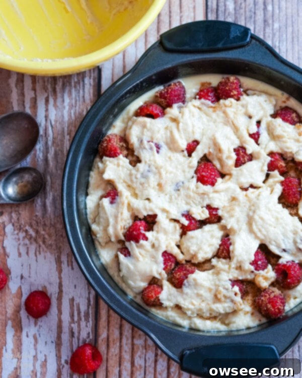Perfect Raspberry Coffee Cake 5 Spoonfuls of cake batter are dropped evenly over the top of the raspberry layer.