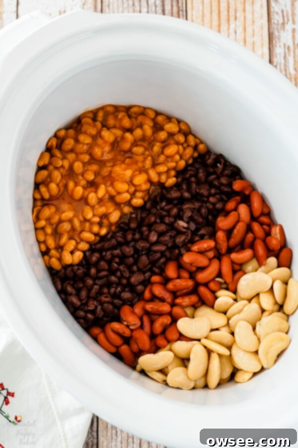 Various drained and rinsed canned beans (black beans, butter beans, kidney beans) in bowls, ready for the slow cooker.