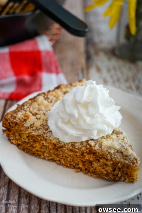Cozy Molasses Skillet Cake 2 A generous slice of Molasses Skillet Cake on a white plate, beautifully topped with a swirl of whipped cream, invitingly presented.