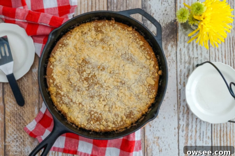Cozy Molasses Skillet Cake 4 A freshly baked Molasses Skillet Cake, golden brown with a crunchy crumble topping, nestled in a cast iron skillet on a cozy red and white checkered towel.