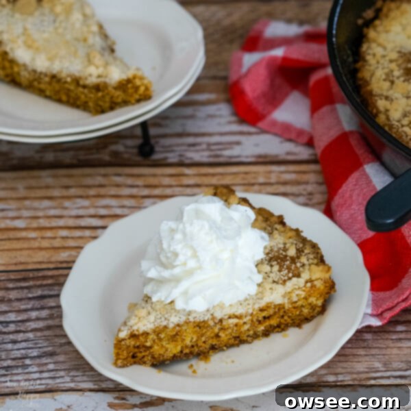 Cozy Molasses Skillet Cake 6 A slice of Molasses Skillet Cake with whipped cream, ready to be enjoyed. The cake is rich and dark, topped with a crunchy crumble.