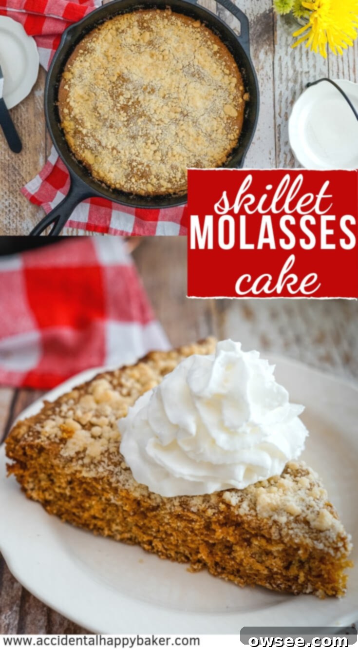 Cozy Molasses Skillet Cake 7 A Pinterest-friendly image showing a Molasses Skillet Cake slice with whipped cream, alongside the full cake in a cast iron skillet. Text overlay reads 'Molasses Skillet Cake - Easy Boxed Mix Hack'.