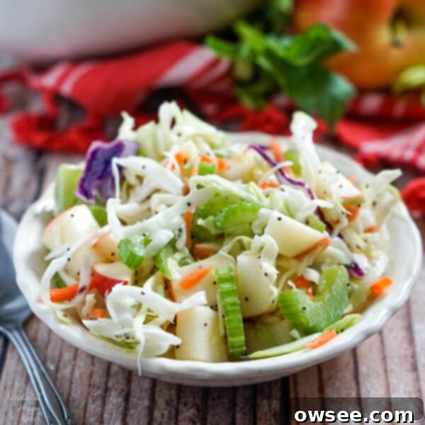 Vibrant Apple Cabbage Slaw with Luscious Poppy Seed Dressing 7 img 5873 6 1