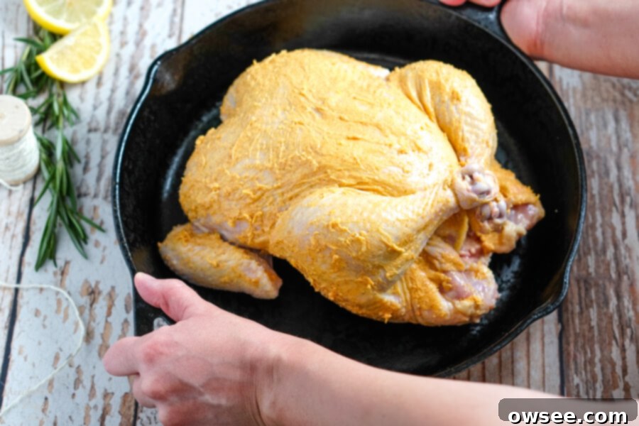 Perfectly Roasted Chicken 9 The trussed and seasoned raw chicken placed in a roasting pan, ready for the oven.