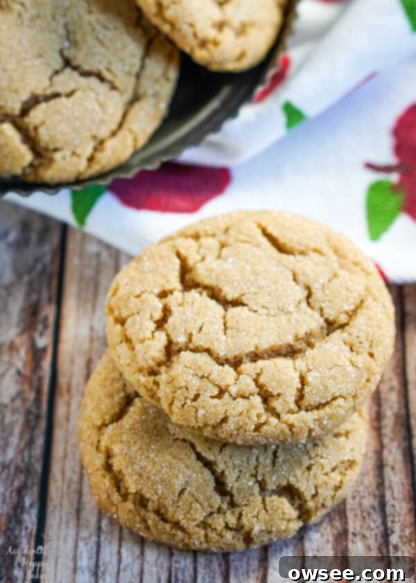 A beautifully styled shot of several French toast cookies, emphasizing their golden-brown color and inviting texture.