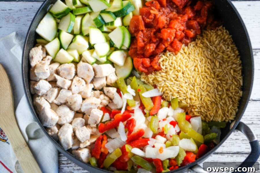 Easy One-Pot Italian Chicken and Orzo 5 Browned chicken breast, zucchini, tomatoes, orzo, peppers and onions in a skillet.