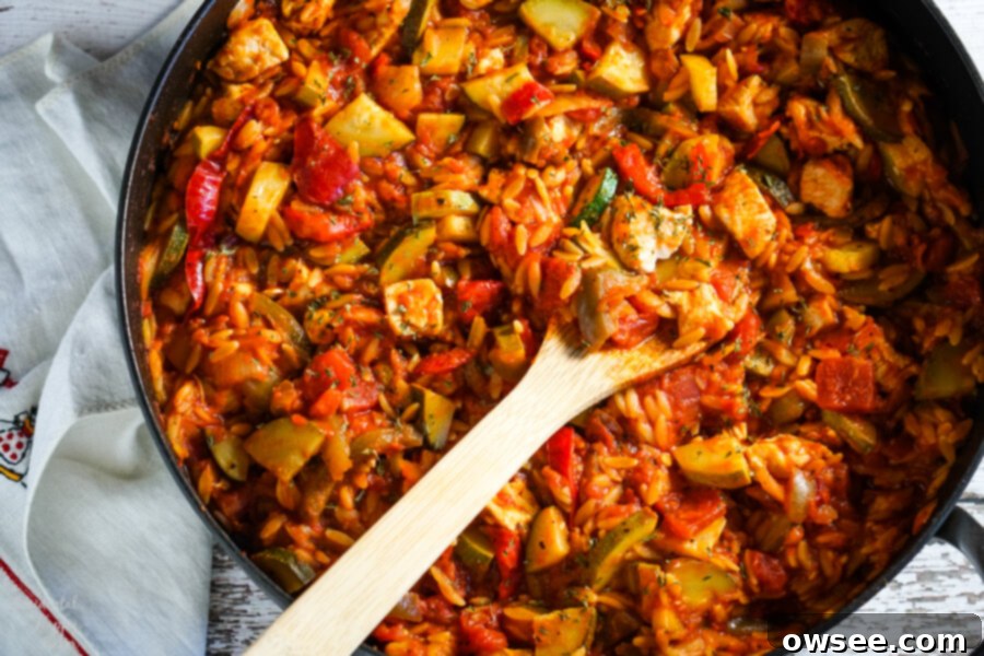 Easy One-Pot Italian Chicken and Orzo 6 A skillet full of Italian Chicken and Orzo.