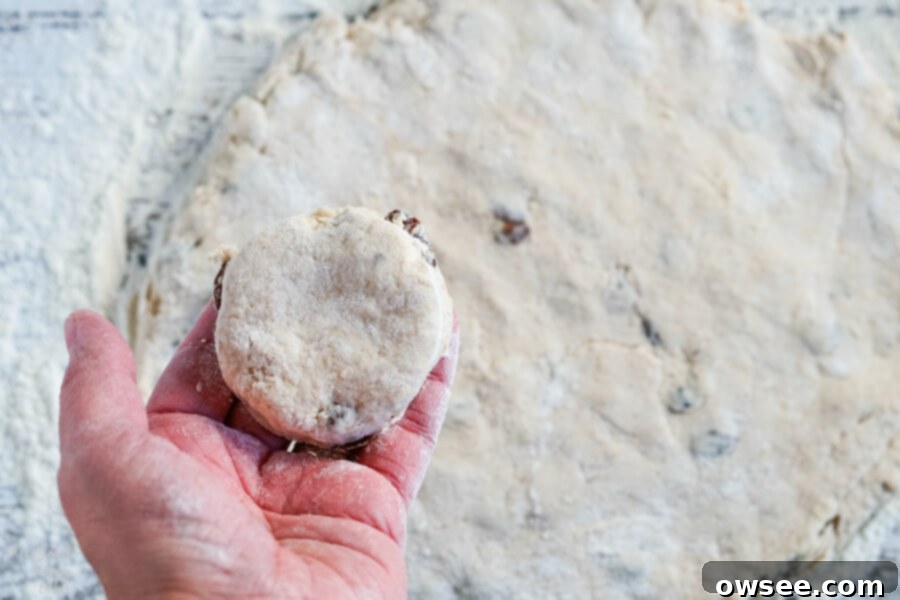 Homestyle Cinnamon Raisin Biscuits 6 A bowl of biscuit dough with plump raisins, mixed with heavy cream, ready to be kneaded and cut.