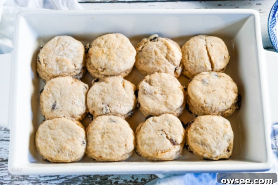 Homestyle Cinnamon Raisin Biscuits 7 Freshly baked cinnamon raisin biscuits in a baking pan, showing their golden brown tops and fluffy texture.