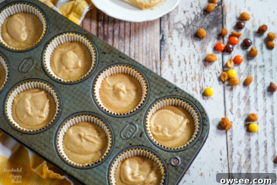 A top-down view of several peanut butter chocolate owl cupcakes, perfectly decorated and ready to be enjoyed.