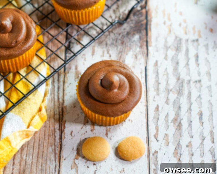 Step-by-step image of placing two vanilla wafers onto a frosted cupcake to form owl eyes.
