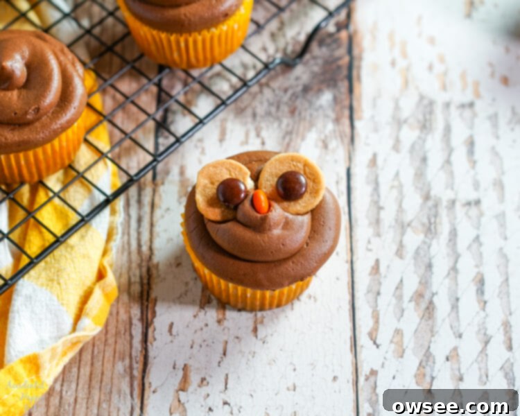 Adding three peanut halves to each side of the cupcake to create the owl's wings.