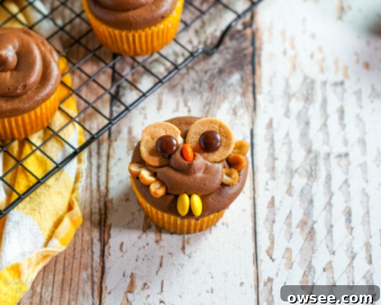 The final decorated peanut butter chocolate owl cupcake, showcasing all the edible elements.
