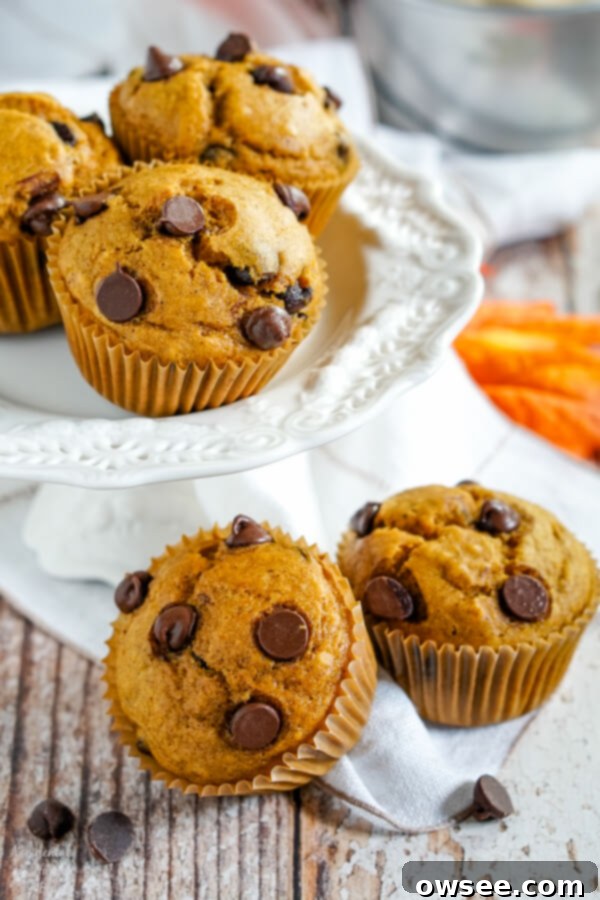 Spiced Pumpkin Chocolate Chip Muffins 2 Freshly baked pumpkin chocolate chip muffins, moist and rich, perfect for fall.