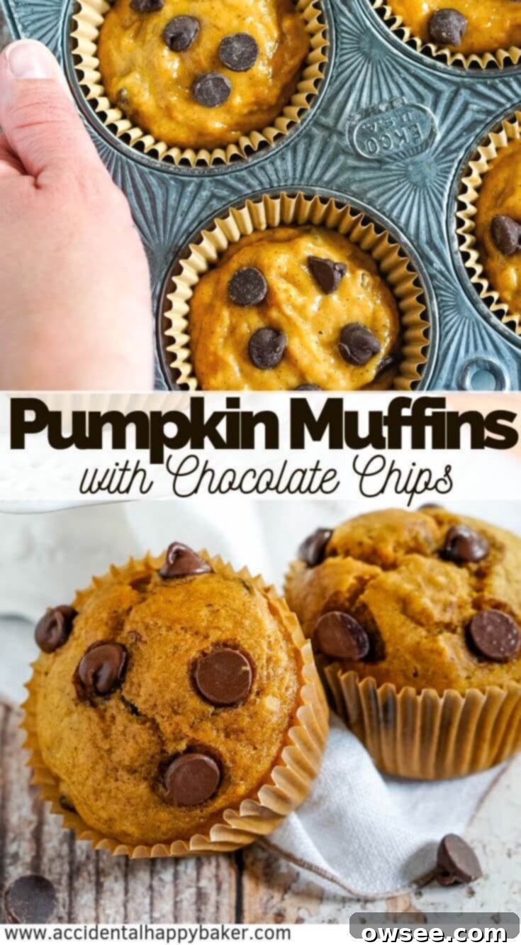 Spiced Pumpkin Chocolate Chip Muffins 8 Pinterest graphic featuring moist pumpkin chocolate chip muffins, perfect for fall baking.