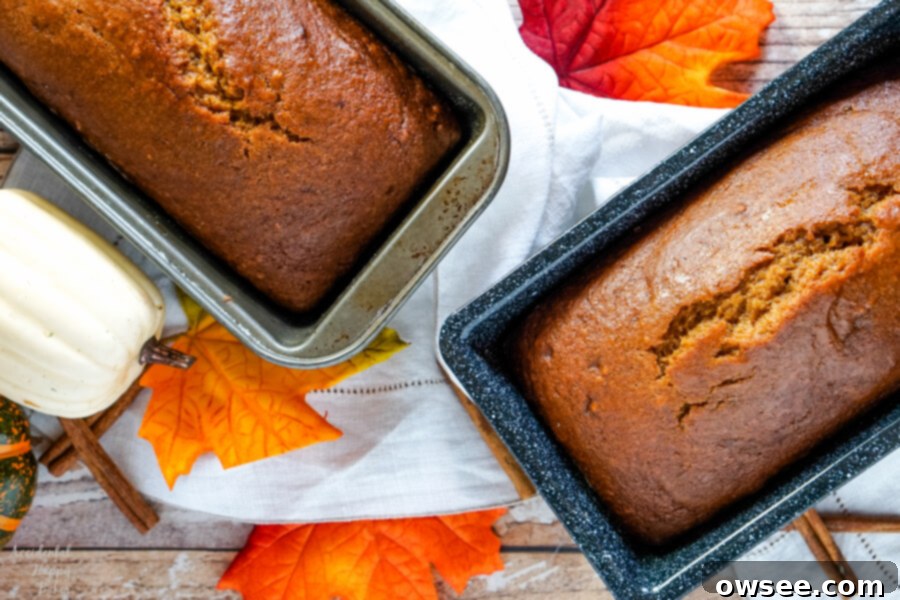Two loaves of Downeast Maine Pumpkin Bread on a cooling rack