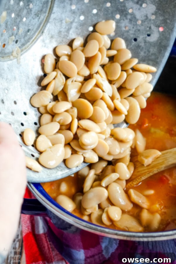 Creamy Butter Bean Delight 4 img 6398 3