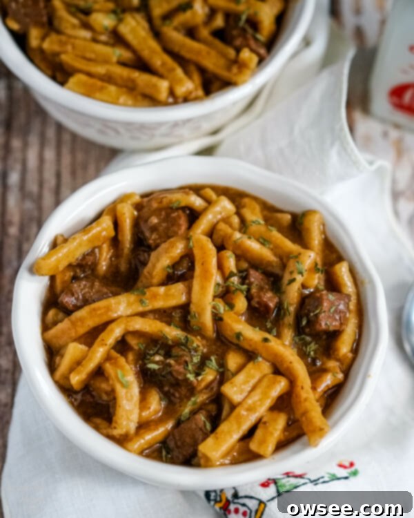 Your Go-To Instant Pot Beef and Noodles 3 A close up image that shows the texture of the beef and noodles.