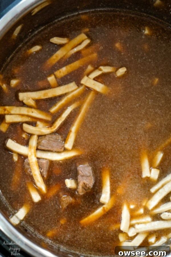Your Go-To Instant Pot Beef and Noodles 5 After all the ingredients have been added to the instant pot and it is ready to seal and cook.
