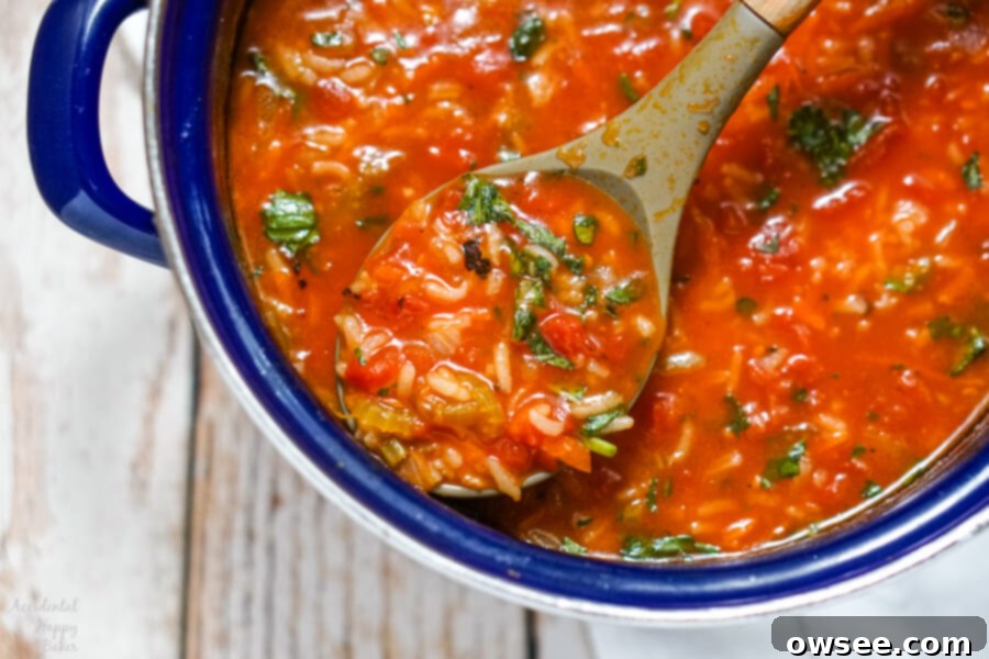 Hearty Tomato Rice Soup 2 A spoonful of rich, red Tomato Rice Soup ready to serve, garnished with fresh herbs, showcasing its hearty texture.