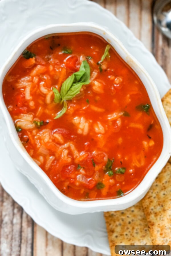 Hearty Tomato Rice Soup 3 A beautiful white bowl filled with steaming Tomato Rice Soup, artfully garnished with vibrant green fresh basil leaves.