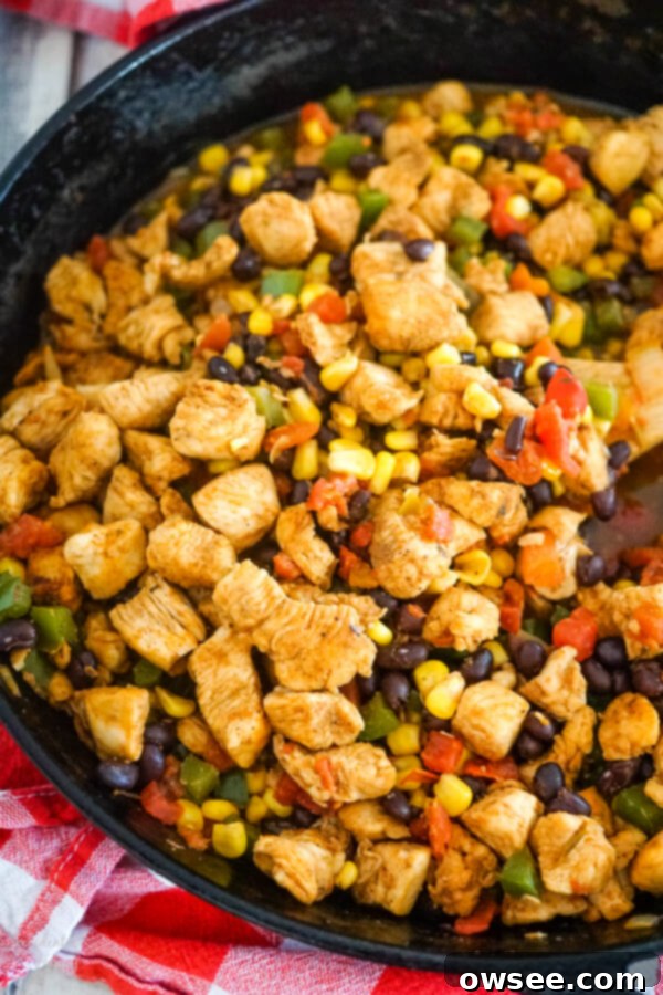 Southwestern Egg Roll Chicken Bake 5 A cast iron skillet full of chicken and veggies.
