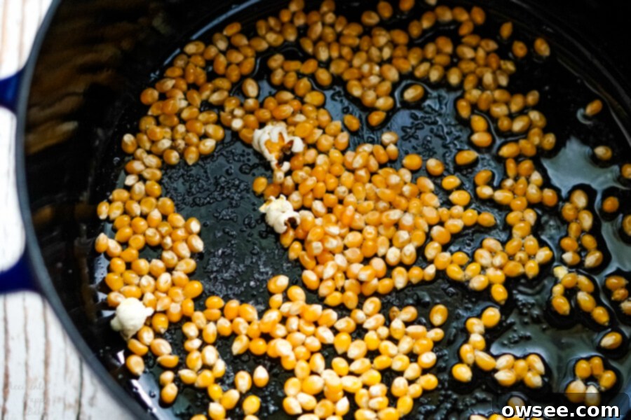 Unpopped popcorn kernels and a sprinkle of salt rest evenly distributed in the hot oil inside a blue Dutch oven, lid ready to be placed for popping.