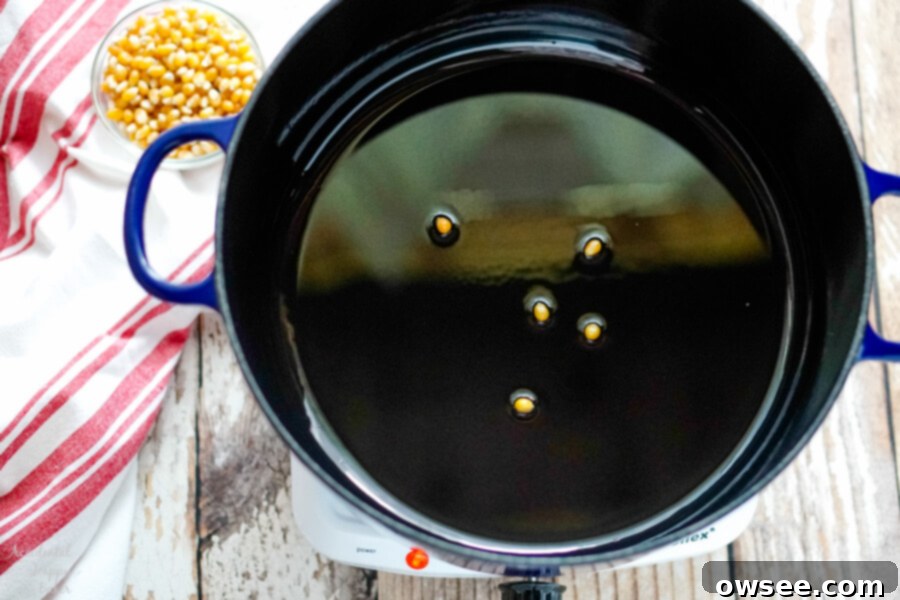Add a few kernels of popcorn to the oil. These are the test kernels.