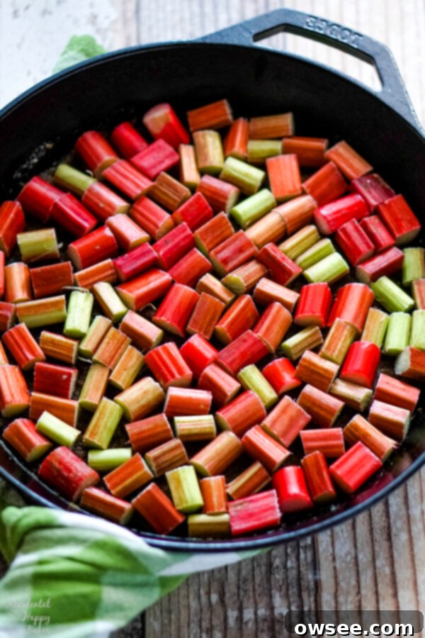 Spiced Rhubarb & Ginger Flip Cake 5 Chopped rhubarb meticulously arranged on top of the sugar and ginger topping in a cast iron skillet.