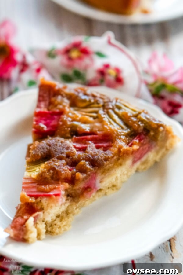 Spiced Rhubarb & Ginger Flip Cake 9 A slice of rhubarb ginger upside down cake on a white plate.