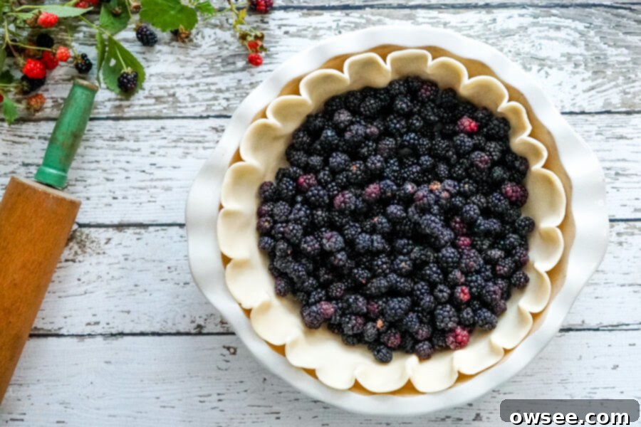 Frozen blackberries are added to the piecrust. 