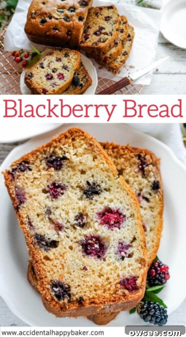 This one-bowl blackberry quick bread recipe yields a sweet loaf studded with vibrant berries and bursting with irresistible blackberry flavor, perfect for any occasion.