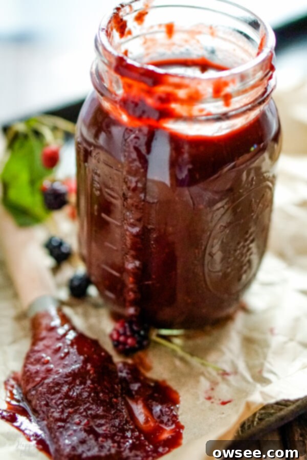 Artisan Blackberry Barbecue Sauce 2 A jar of blackberry bbq sauce with a basting brush to one side. The sauce is dark purple-red, showcasing its rich berry content.