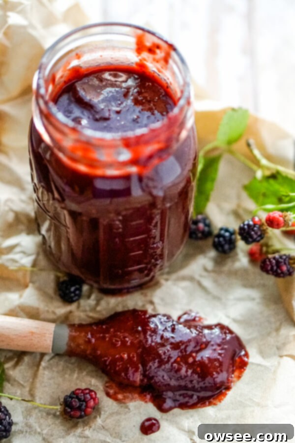 Artisan Blackberry Barbecue Sauce 7 A jar of blackberry bbq sauce with a basting brush to one side, showcasing its smooth texture after straining.