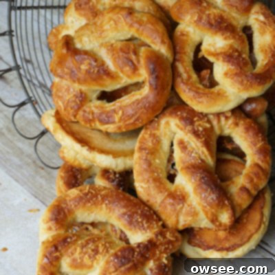 Soft Pretzels with Asiago Cheese 7 Asiago Cheese Soft Pretzels - golden and cheesy