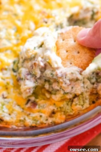 The Ultimate Cheesy Bacon Broccoli Dip 2 A cracker scooping up a bite of cheesy bacon and broccoli dip.